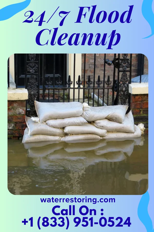 24/7 Flood Cleanup in Ladoga, IN