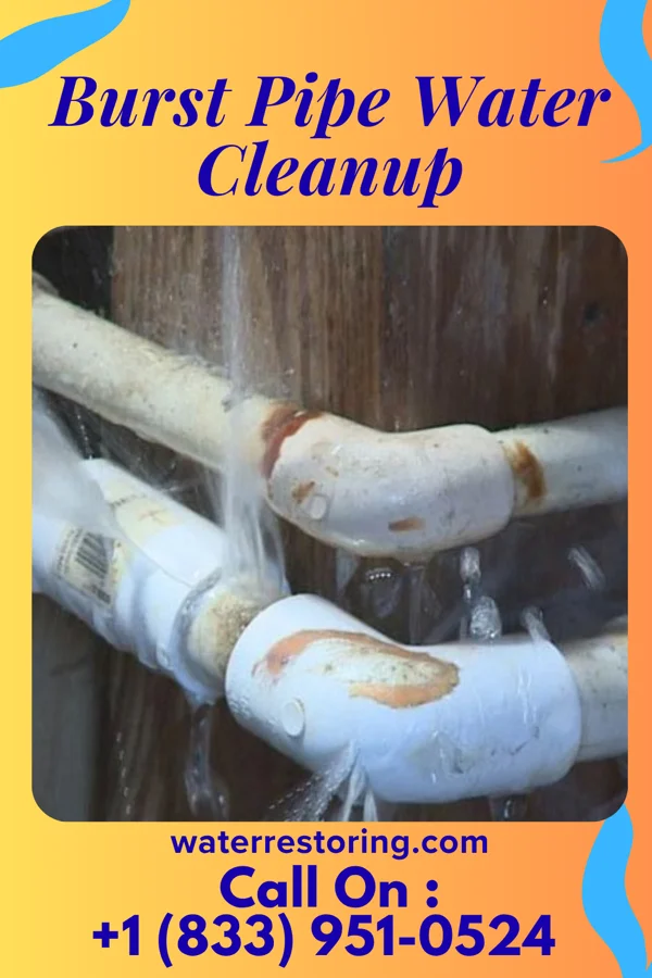 Burst Pipe Water Cleanup in Ladoga, IN