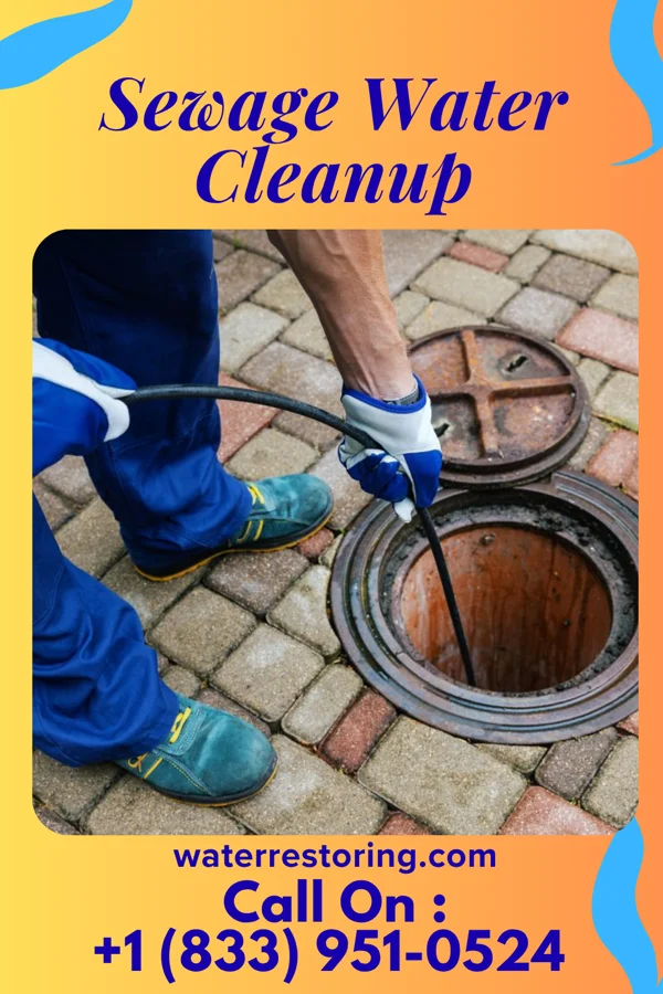 Sewage Water Cleanup in Ladoga, IN