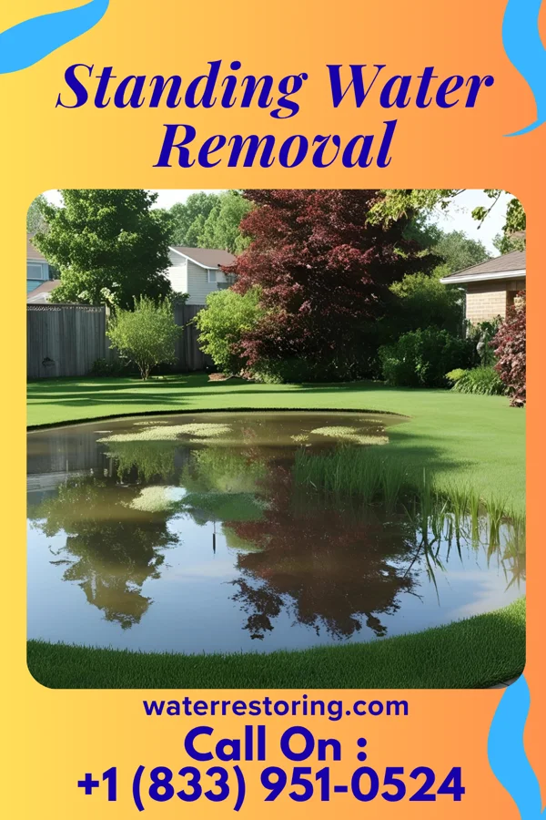 Standing Water Removal in Ladoga, IN
